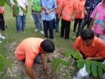 โครงการประชาอาสาปลูกป่า