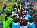 โครงการจัดประสบการณ์เรียนรู้เพื่อพัฒนาเด็กปฐมวัย (เศรษฐกิจพอ